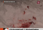 В Пензенской области локомотив врезался в легковую машину