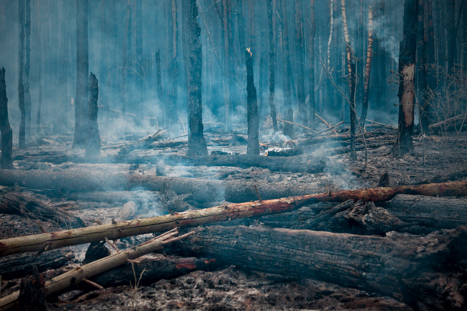 Жара в европейской части России летом 2010-го лишь косвенно вызвана глобальным потеплением — но последствия лесных пожаров ­жители Москвы ­ощутили на себе в полной мере