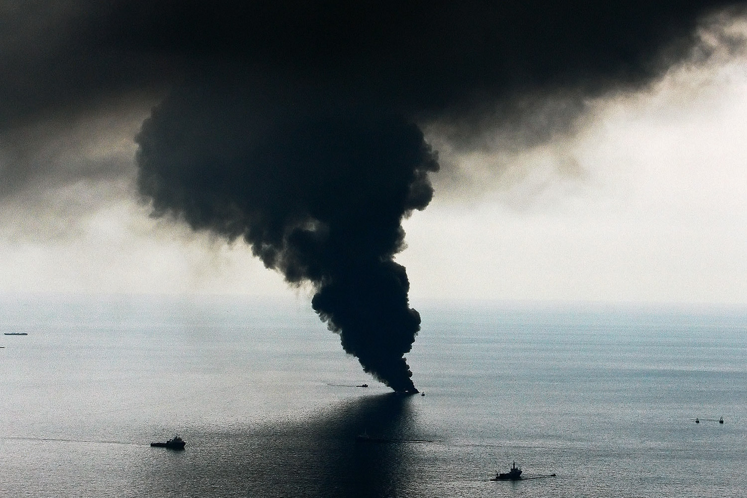Человеческая деятельность не только соз­дает глобальные угрозы — по нашей вине случаются и локальные экологические катастрофы вроде взрыва платформы Deepwater Horizon в Мексиканском ­заливе