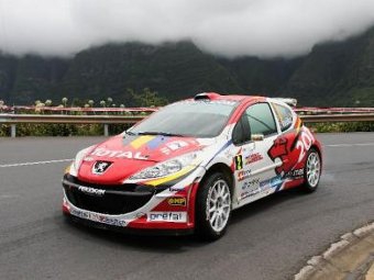 Peugeot 207 S2000. Фото с сайта racecar-engineering.com