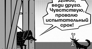 Почему сотрудники не дотягивают до конца испытательного срока