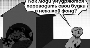 Как владельцы хостелов адаптируются к требованиям нового закона