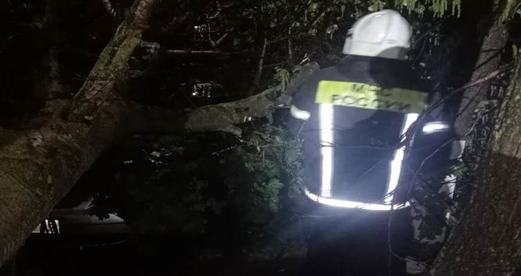 Опубликовано видео урагана в Курской области