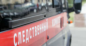 В обвале котировок «Мечела» обвинили БКС