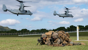 США просят изменить политику, чтобы избежать войны с Россией