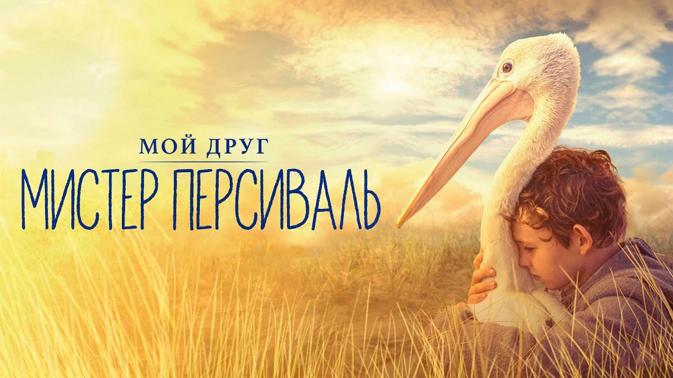 Мой друг мистер персиваль (2019). Пеликан персиваль. Мой друг мистер персиваль 2020. «мой друг мистер персиваль», 2019г. Мой друг мистер персиваль (2019).