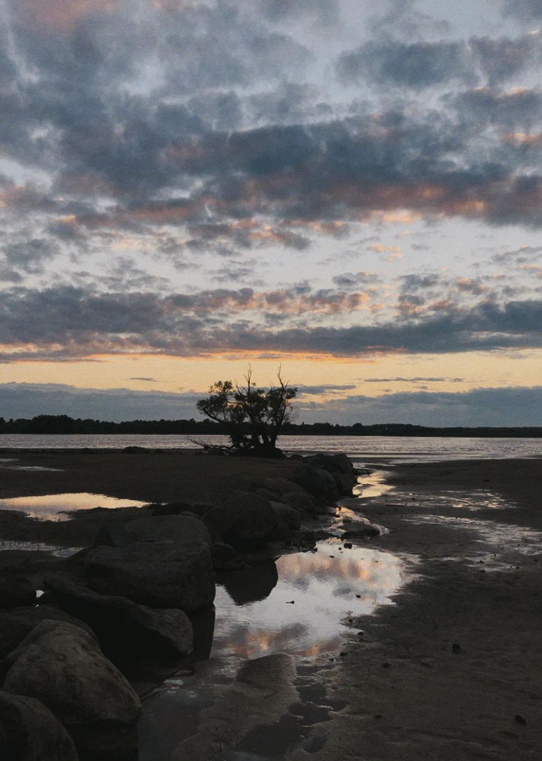 Советую изучать села»: зачем ехать на Рыбинское водохранилище -  Рамблер/путешествия