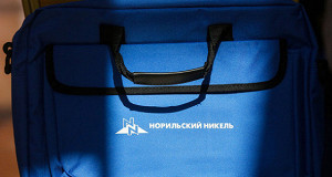 «Норникель» продал 13,3% Быстринского проекта