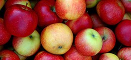 Капитализация Apple превысила ВВП Саудовской Аравии