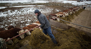 Численность работающих в Чувашии сократилась на 26 000 человек