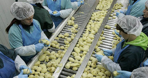 Правительство не поддержало законопроект о налоге на чипсы и газировку