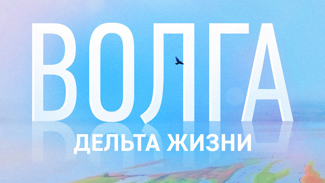 Волга: дельта жизни