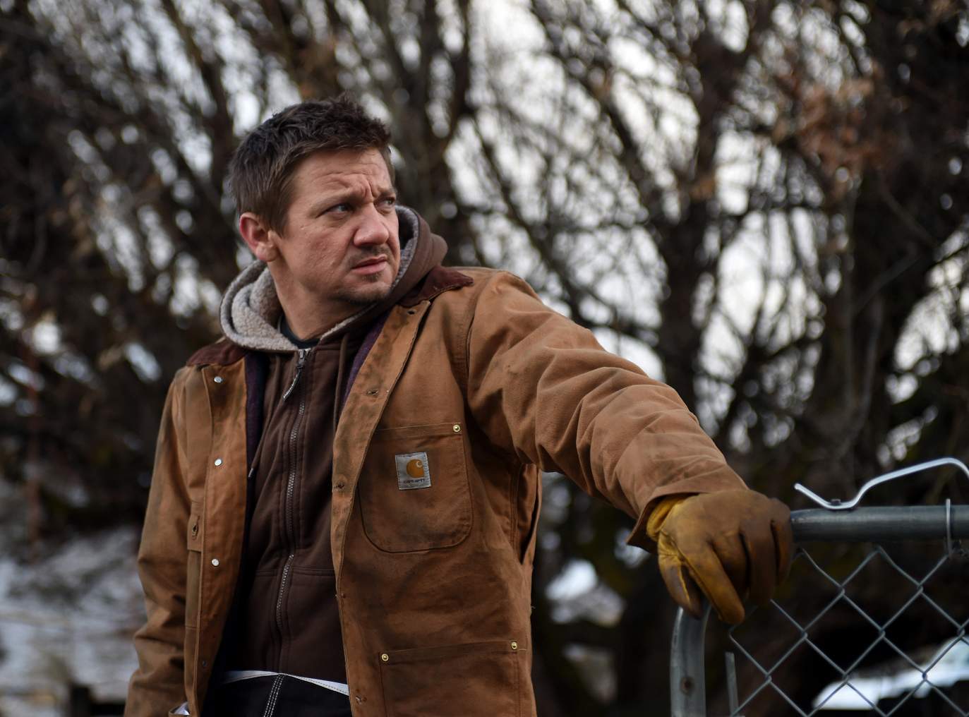 Джереми Реннер (Jeremy Renner) биография, фильмы, спектакли, фото ...