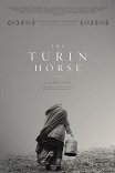 Туринская лошадь / A torinói ló