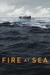 Море в огне / Fuocoammare