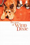 Благодаря Винн-Дикси / Because of Winn-Dixie