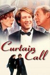 Новогодняя история / Curtain Call