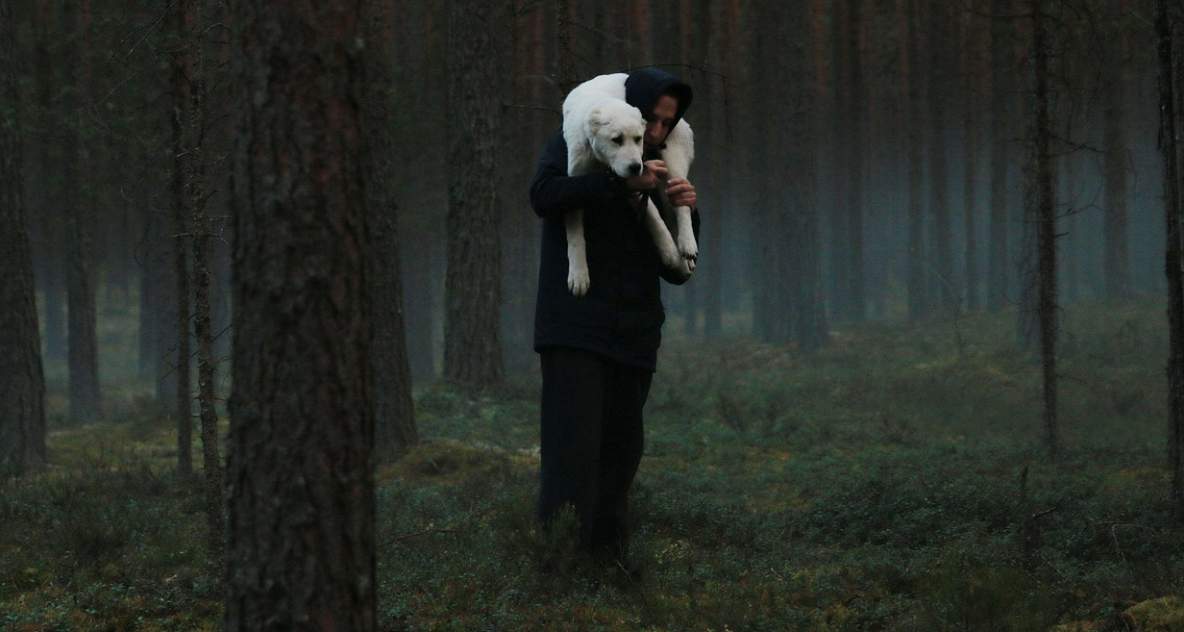 Лучшие российские фильмы 2018 года – Афиша-Кино