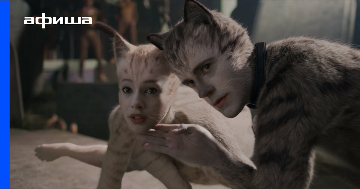 Кошка Лана Новые Серии 2022 Года