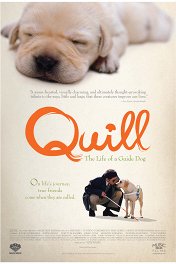 Куилл / Quill