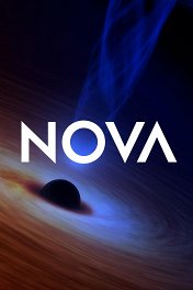 Новая звезда / NOVA