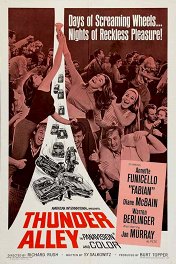 Аллея грома / Thunder Alley