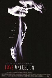 Криминальный роман / Love Walked In