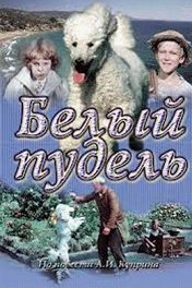 Белый пудель