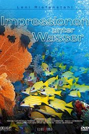 Коралловый рай / Impressionen unter Wasser