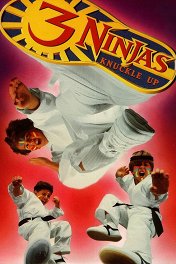 Три ниндзя: костяшки вверх / 3 Ninjas Knuckle Up