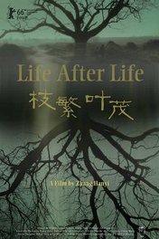 Жизнь после жизни / Zhi fan ye mao