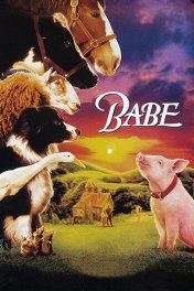Бэйб / Babe