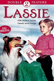Спасение Лэсси / Lassie: Well of Love