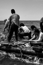 Чрево моря / El ventre del mar