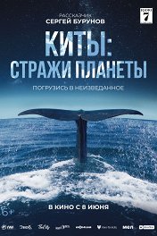 Киты: Стражи планеты / Les gardiennes de la planète