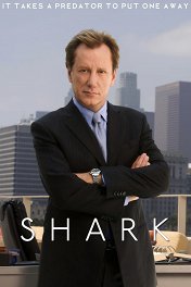 Акула / Shark