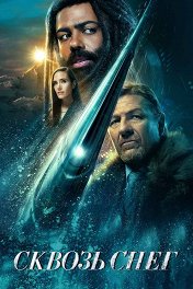 Сквозь снег / Snowpiercer