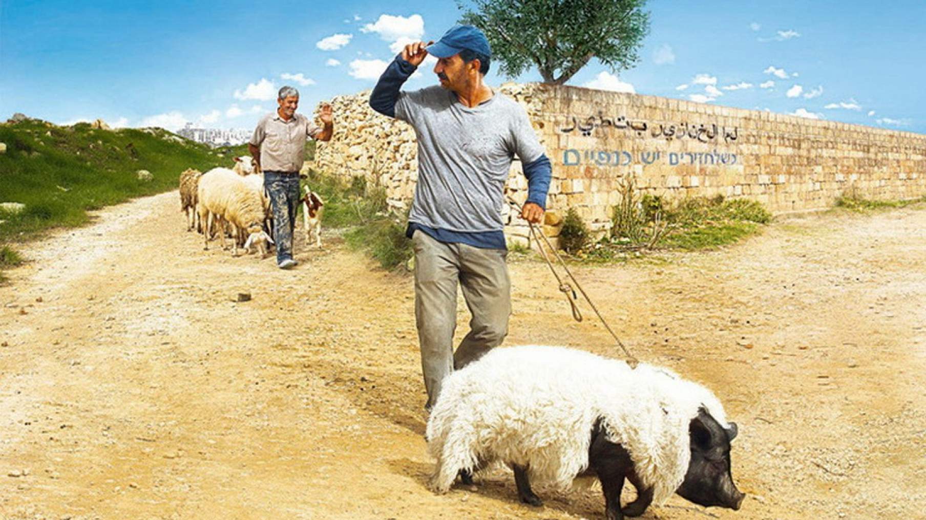 Фильм Перелетные свиньи (Франция, Германия, Бельгия, 2011