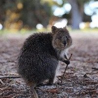 рейтинг фильма афера по голливудски. Смотреть фото рейтинг фильма афера по голливудски. Смотреть картинку рейтинг фильма афера по голливудски. Картинка про рейтинг фильма афера по голливудски. Фото рейтинг фильма афера по голливудски рейтинг фильма афера по голливудски. Смотреть фото рейтинг фильма афера по голливудски. Смотреть картинку рейтинг фильма афера по голливудски. Картинка про рейтинг фильма афера по голливудски. Фото рейтинг фильма афера по голливудски