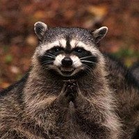 Фото Маша Безнадежная