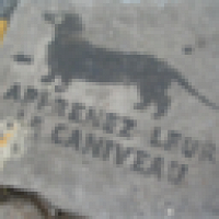 Фото caniveau.livejournal.com