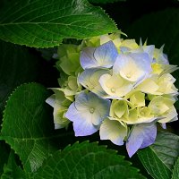 Фото vadima