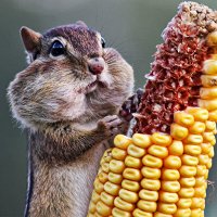 Фото Ксюша Иванова