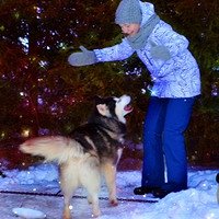 Фото Лиза Котова