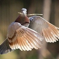 Выставка о чем говорят символы. 175652518ad24de98ec95e2399bed7fa. Выставка о чем говорят символы фото. Выставка о чем говорят символы-175652518ad24de98ec95e2399bed7fa. картинка Выставка о чем говорят символы. картинка 175652518ad24de98ec95e2399bed7fa. Выставка рассказывает об универсальных символах человечества и их актуальности для современного человека.