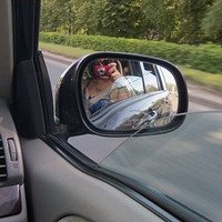 Фото Алиса Ли