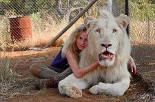 Миа и белый лев – афиша