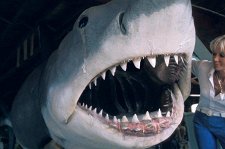 Игры с акулами – афиша
