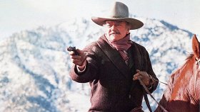 Самый меткий / The Shootist