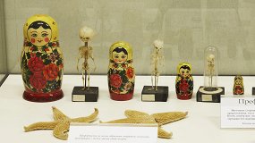 Этапы познания живой природы